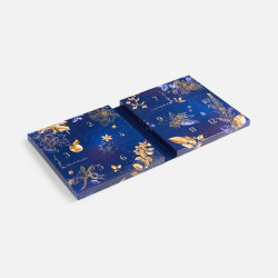 Набор чая Flowers Story ver.2, 29x26,2x4,2 см