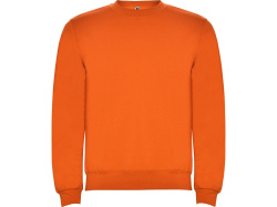 Свитшот с начесом «Clasica» унисекс, Размер 2XL, Цвет оранжевый