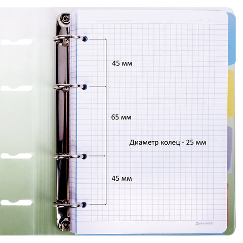 Тетрадь на кольцах А5 175х220 мм, 120 л., пластик, с разделителями, BRAUBERG, Зеленый, 404629