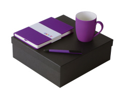 Подарочный набор «COLOR IT» с блокнотом, ручкой и кружкой, Размер твердая обложка, Цвет фиолетовый