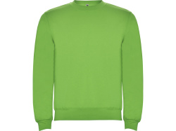 Свитшот с начесом «Clasica» унисекс, Размер 2XL, Цвет зеленое яблоко
