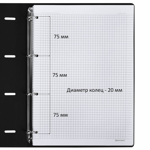 Тетрадь на кольцах БОЛЬШАЯ А4 (240х310 мм), 120 л., под кожу, BRAUBERG VISTA, "Гранаты", 404513