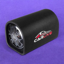 Автомобильный сабвуфер Carlive SB0110 10" / Сбалансированный звук и надёжность