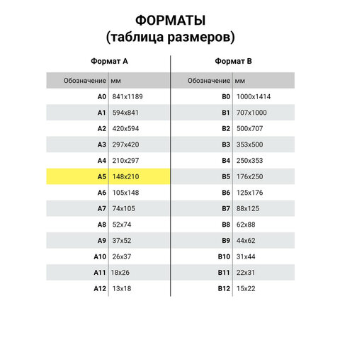 Скетчбук, белая бумага 120 г/м2, 170х195 мм, 60 л., гребень, фольга, выборочный твин лак, "Кактус", 97743