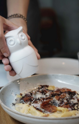 МЕЛЬНИЦА ДЛЯ СПЕЦИЙ механическая Tasty Owl, белая СОВА