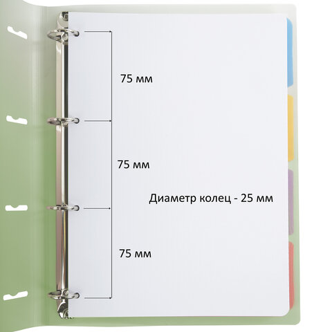 Тетрадь на кольцах БОЛЬШАЯ 305х235 мм А4, 120 л., пластик, с разделителями, BRAUBERG, Зеленый, 404625