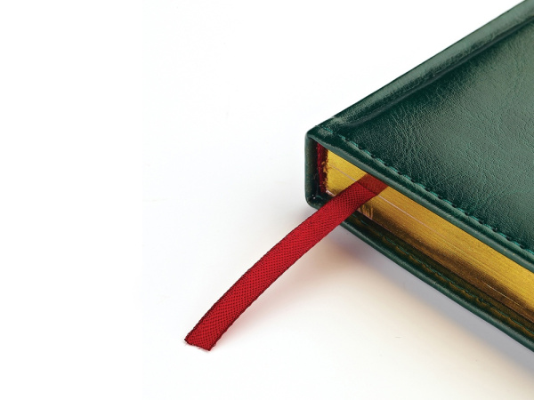 Ежедневник датированный А5 «Sidney Nebraska» на 2026 год, Цвет зеленый