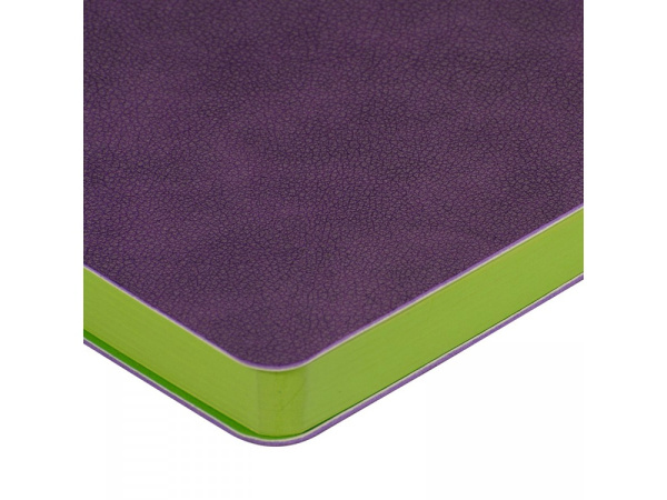 Ежедневник недатированный А5 «Boston», Цвет фиолетовый