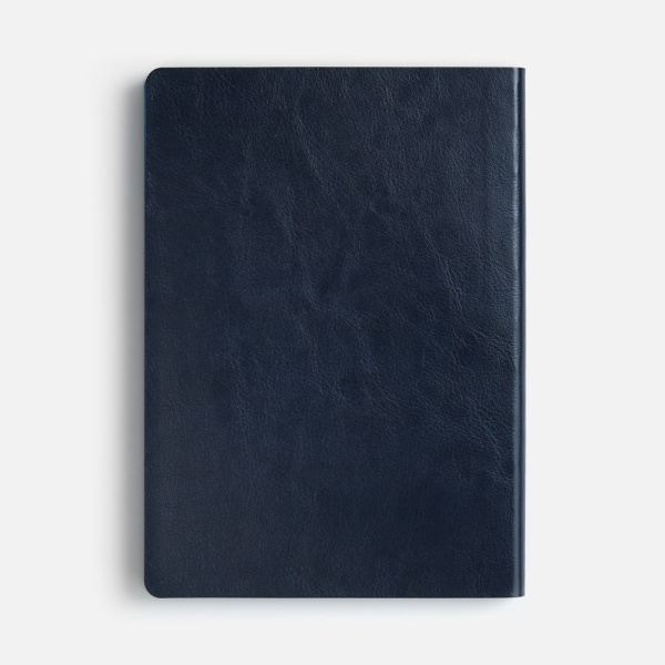 Ежедневник Doppio, недатированный, синий с голубым, 15х21х1,5 см