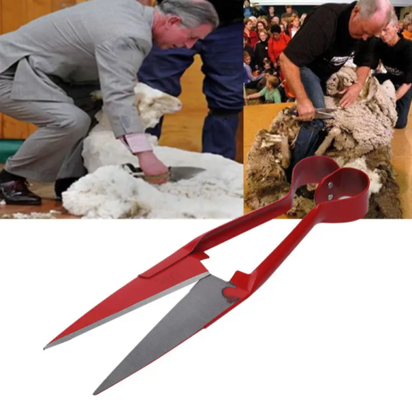 Ножницы для стрижки овец и других животных 31см. / Универсальные ножницы для животноводства, топиария