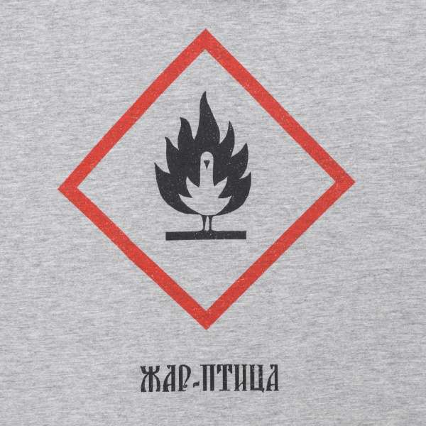 Футболка «Жар-птица», серый меланж, S–XXL