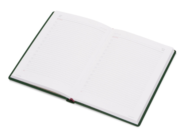 Ежедневник недатированный А5 «Velvet», Размер A5, Цвет темно-зеленый