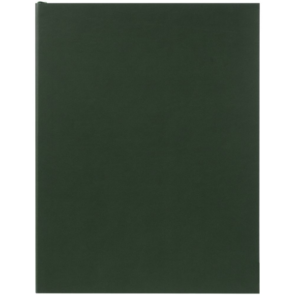 Ежедневник Flat Maxi, недатированный, зеленый, 20x26x1 см