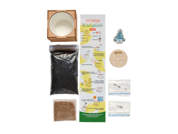 Набор для выращивания «Ель Голубая», Цвет желтый