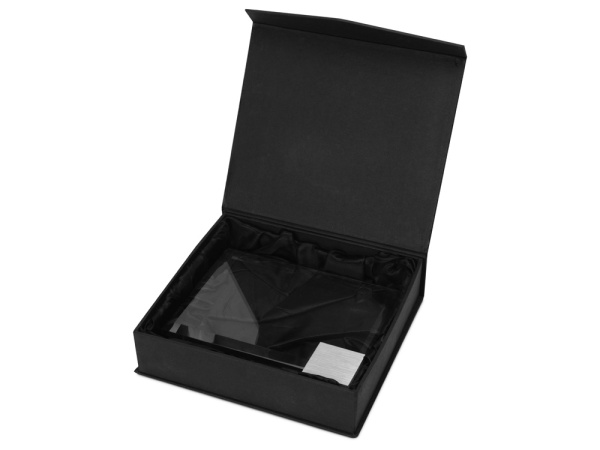 Награда «Lex», Цвет прозрачный/серебристый