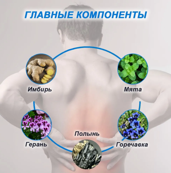 Пластырь обезболивающий для спины Hyllis / патч поясничный травяной 10 шт. в упаковке