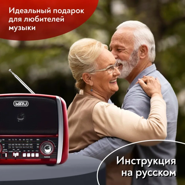 Радиоприемник  SR-1025, аналоговый тюнер FM/AM, аккумулятор 750 мАч, USB, TF, microSD, AUX / Встроенный фонарь