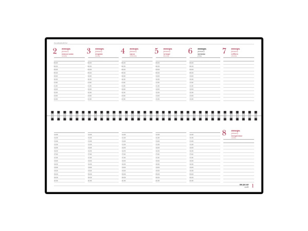 Планинг датированный «Бумвинил» на 2025 год, Цвет коричневый