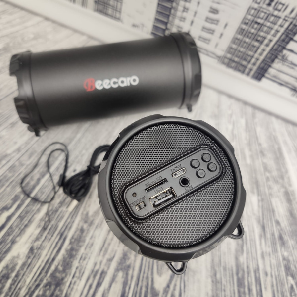 Портативная акустическая система Beecaro S41В