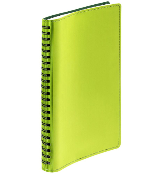 Ежедневник Spring Shall, недатированный, зеленый, 15х21х1,5 см