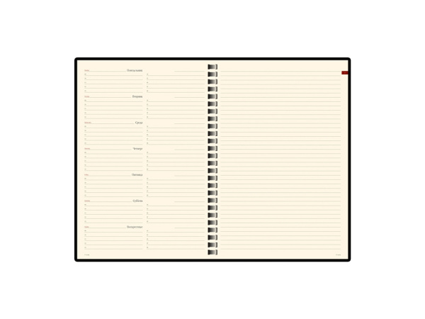 Еженедельник недатированный А5 «Concept», Размер A5, Цвет красный