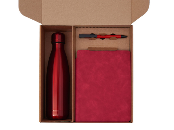 Набор «Teanote» с термобутылкой, блокнотом, ручкой и чаем, Цвет красный