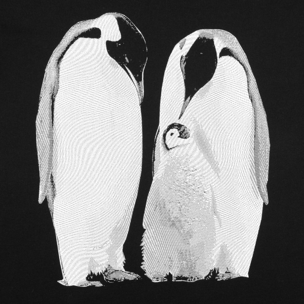Футболка женская Like a Penguin, черная, S–XL