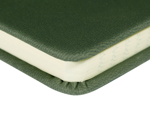 Ежедневник недатированный А5 «Megapolis Velvet New», Цвет темно-зеленый