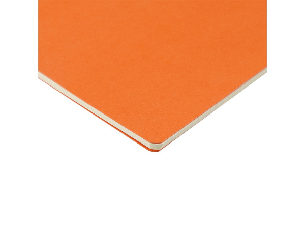 Бизнес тетрадь А5 «Pragmatic», Цвет оранжевый