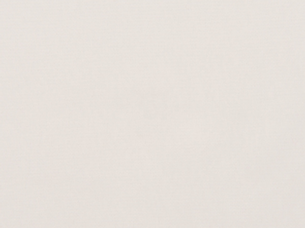 Плед флисовый «Polar», Цвет белый