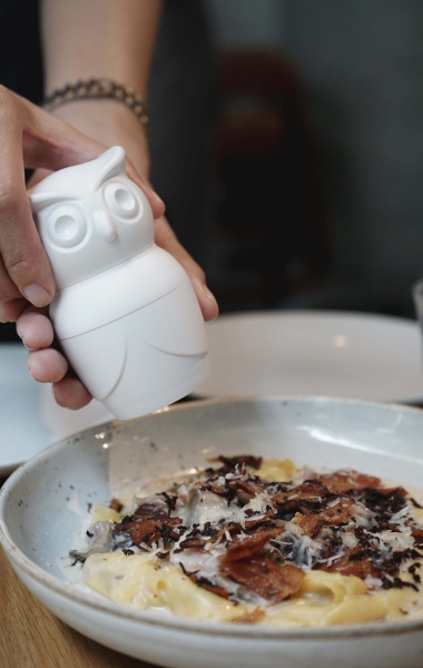 МЕЛЬНИЦА ДЛЯ СПЕЦИЙ механическая Tasty Owl, белая СОВА