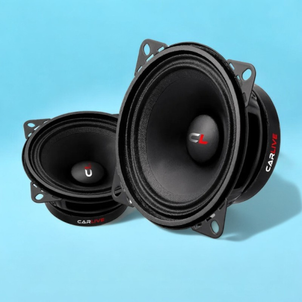 Эстрадная акустика Carlive BCL400 Premium (4") / Компактный размер и богатый звук