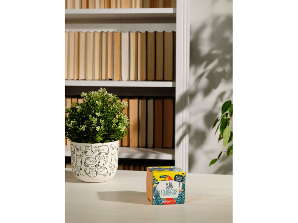 Набор для выращивания «Ель Голубая», Цвет желтый