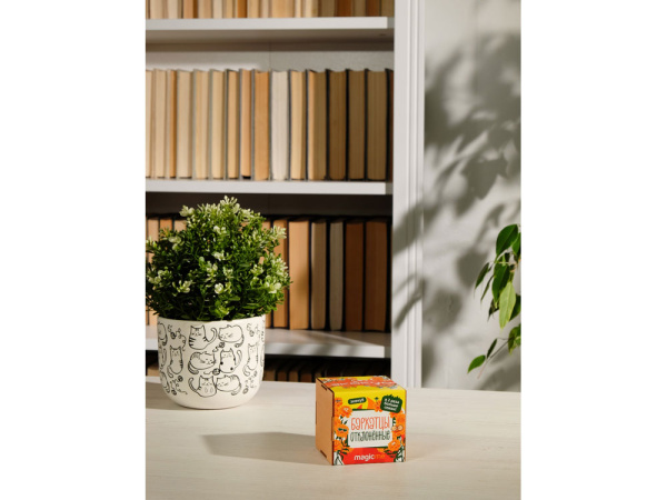 Набор для выращивания «Бархатцы», Цвет желтый