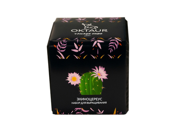 Набор для выращивания «Small village cube «Эхиноцереус», Цвет черный