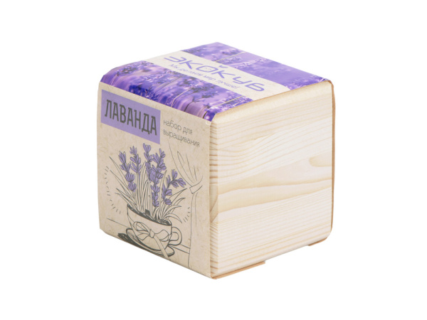 Набор для выращивания «Лаванда», Цвет бежевый