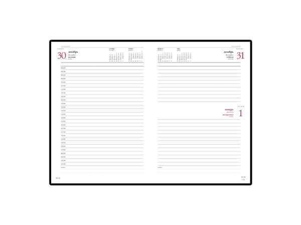 Ежедневник датированный А5 «Ideal New» на 2026 год, Цвет черный