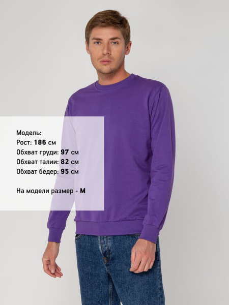Свитшот Toima 2.0, фиолетовый, XS–4XL