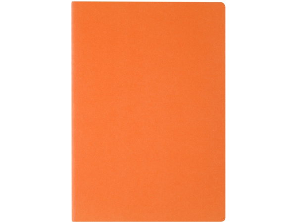 Бизнес тетрадь А5 «Pragmatic», Цвет оранжевый