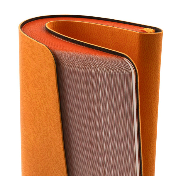 Ежедневник Neat Mini, недатированный, оранжевый, 10,5х16х1,2 см