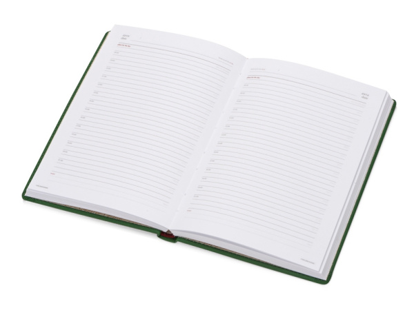 Ежедневник недатированный А5 «Velvet», Размер A5, Цвет зеленый