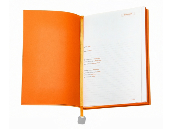 Ежедневник недатированный А5 «Mercury», Цвет красный