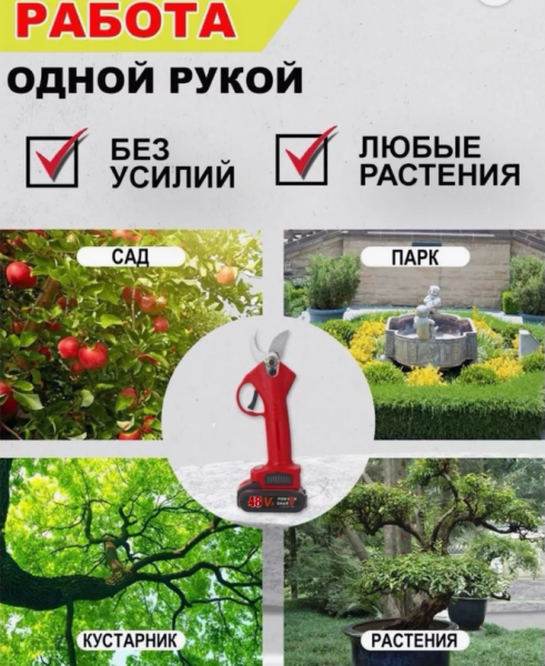 Секатор садовый аккумуляторный в чемодане, 2 сменных аккумулятора 48 V