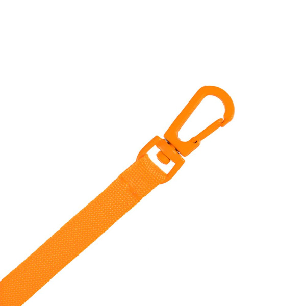 Застежка-карабин Snap Hook, S, оранжевый неон, 1х3,5 см