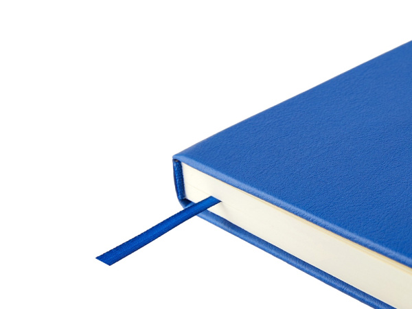 Ежедневник недатированный А5 «Status», Цвет синий