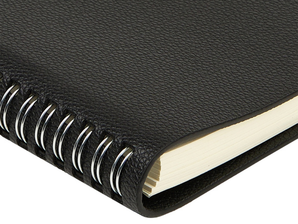 Ежедневник недатированный А5 «Alba», Цвет черный
