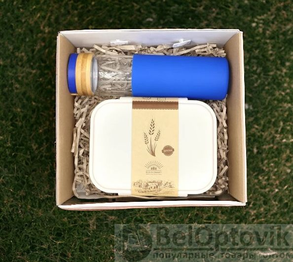 Подарочный набор Ewood / Набор из стеклянной бутылки Glass и ланчбокса Ulf в подарочной коробке