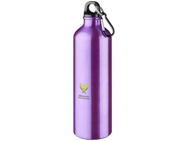 Алюминиевая бутылка «Oregon» с карабином, Цвет пурпурный