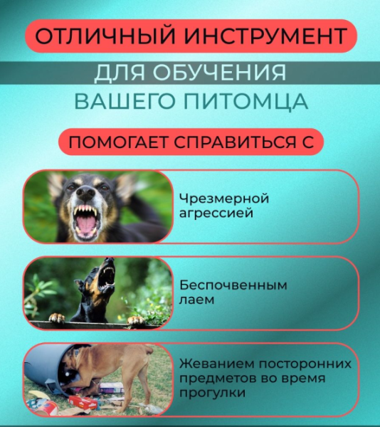 Ультразвуковой отпугиватель собак Ultrasonic Dog Chaser+Dog Trainner / Кликер для отпугивания собак и их дрессировки (аккумулятор в комплекте)