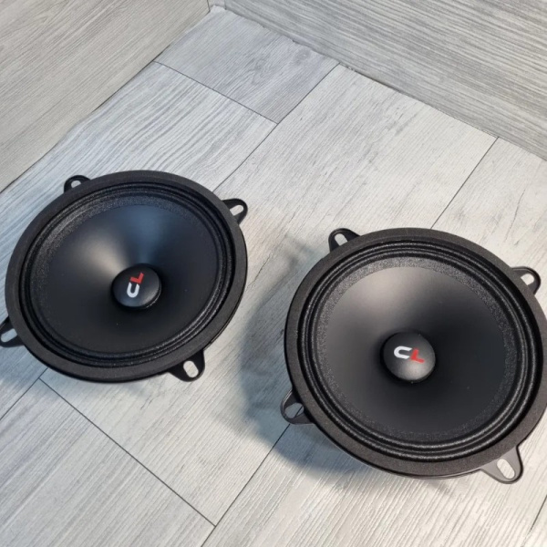 Эстрадная акустика Carlive BCL500 Premium (5") / Компактность и функциональность